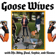 Goose Wives