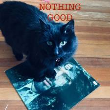 Great Songs About Nothing Good
