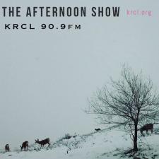 The Afternoon Show