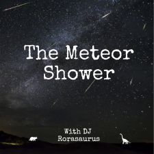 The Meteor Shower