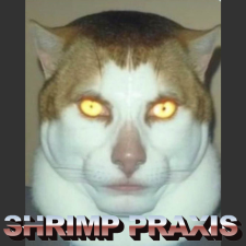 Shrimp Praxis