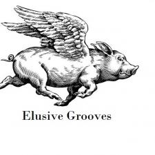 Elusive Grooves
