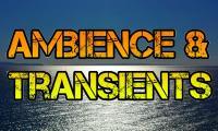 Ambience &amp; Transients