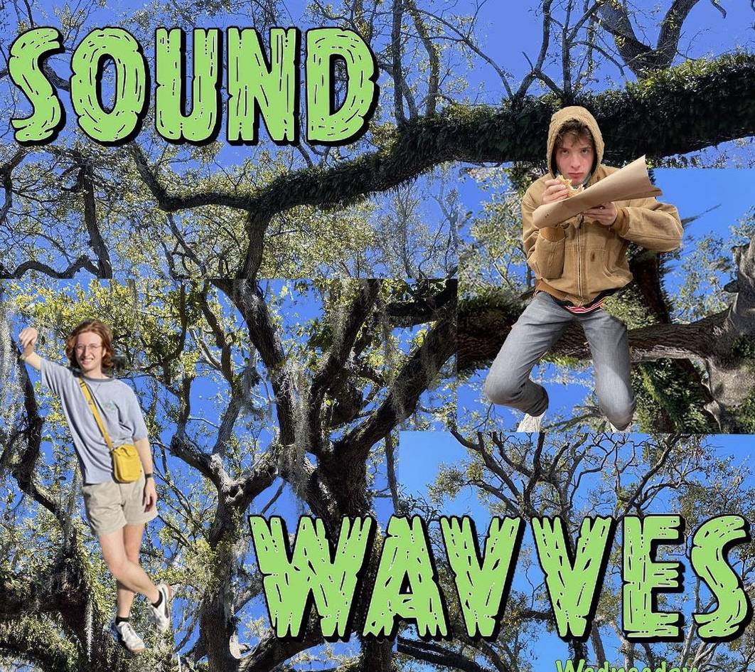 Sound Wavves cover
