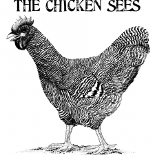 The Chicken Sees