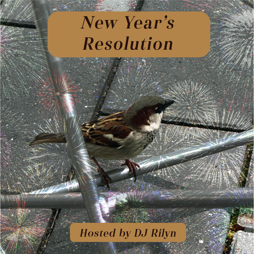 New Year's Resolution cover