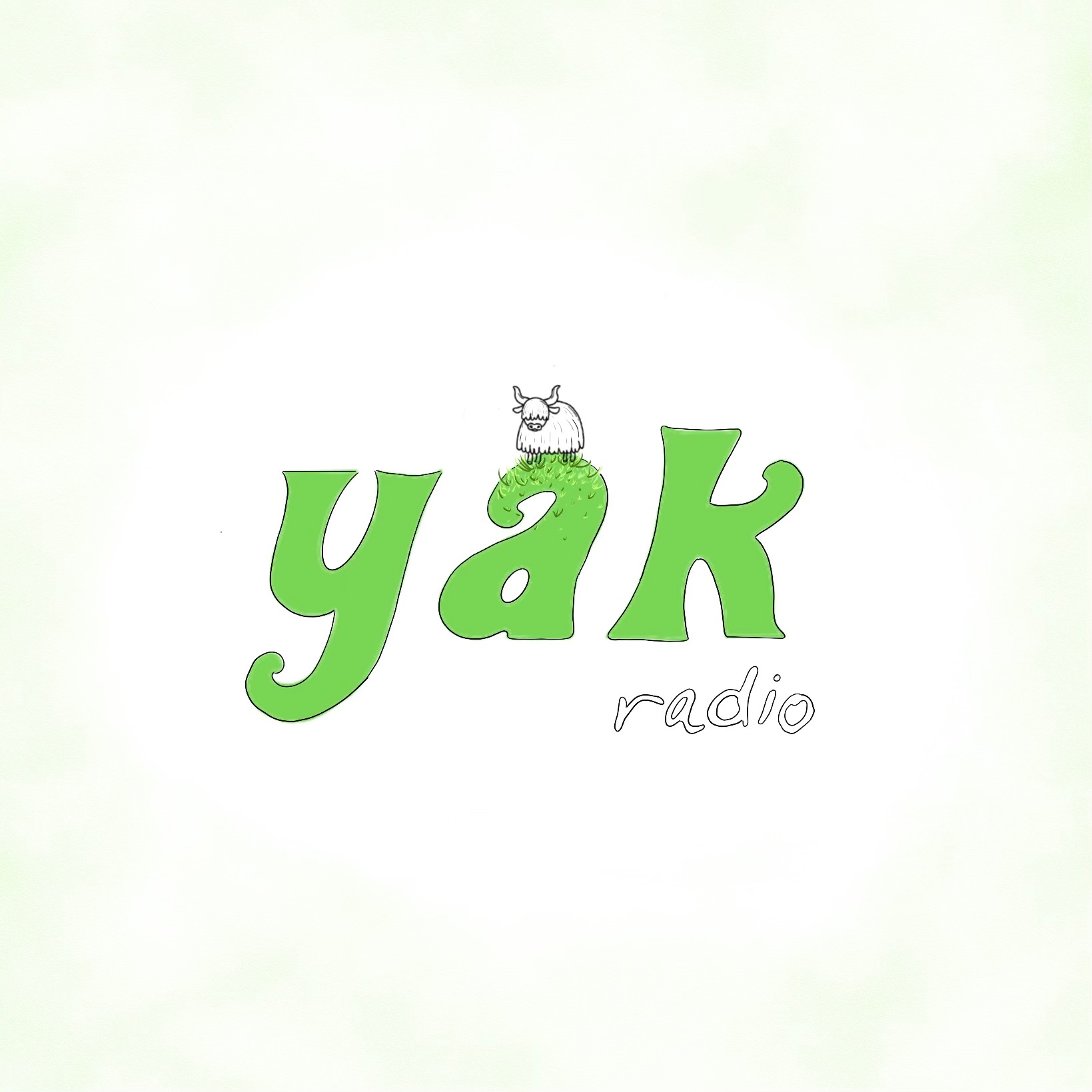 yak radio cover