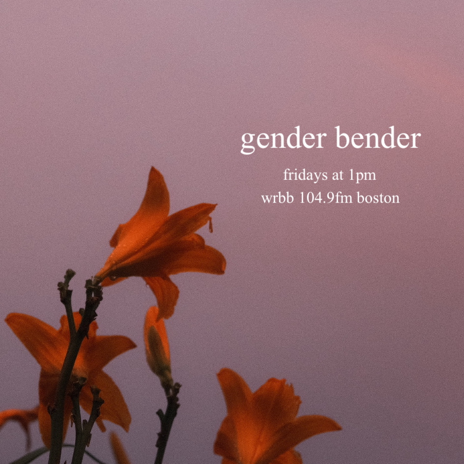Gender Bender cover