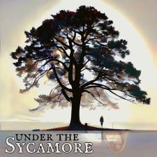 Under The Sycamore