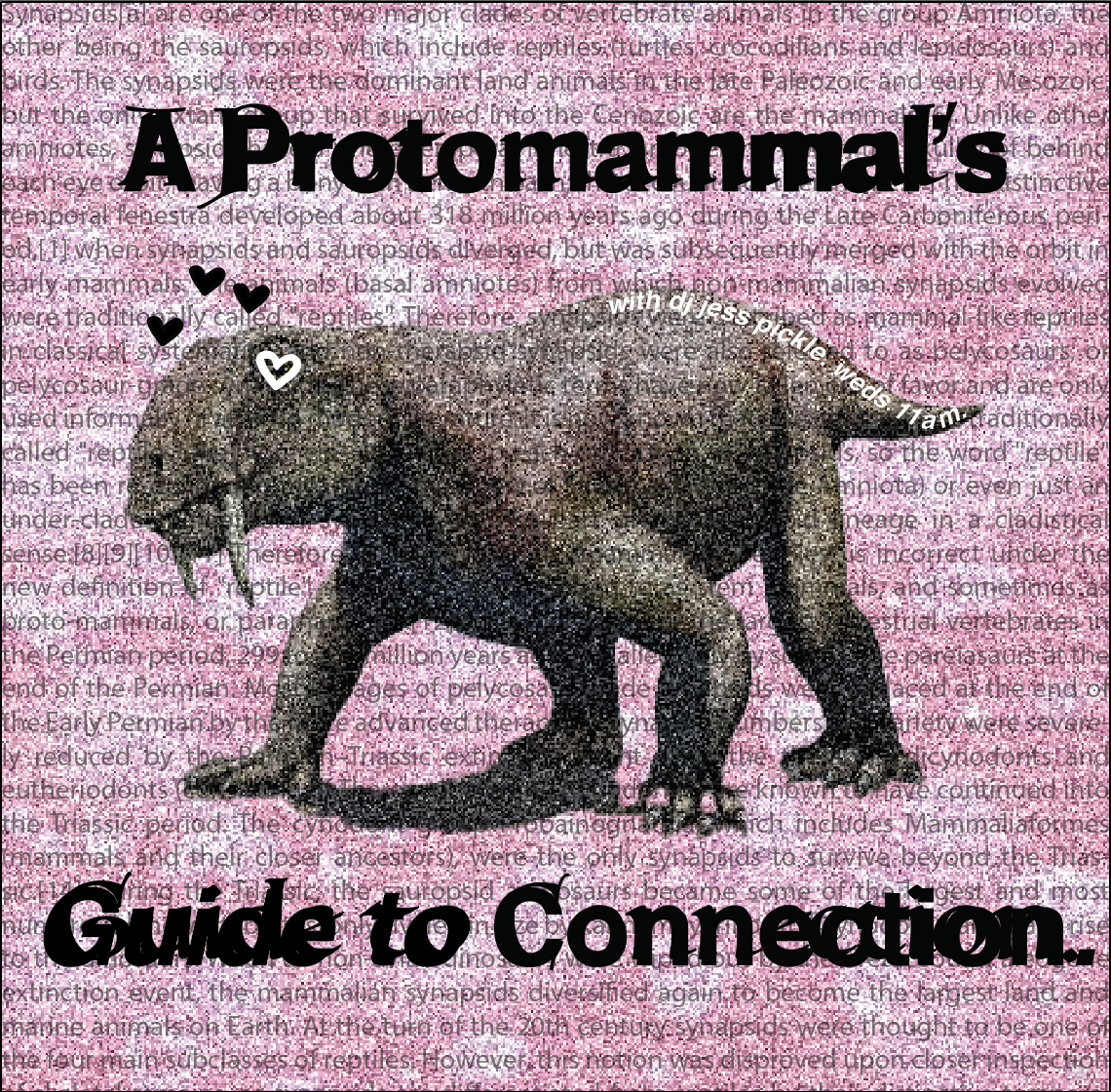 A Protomammal's Guide to Connections cover
